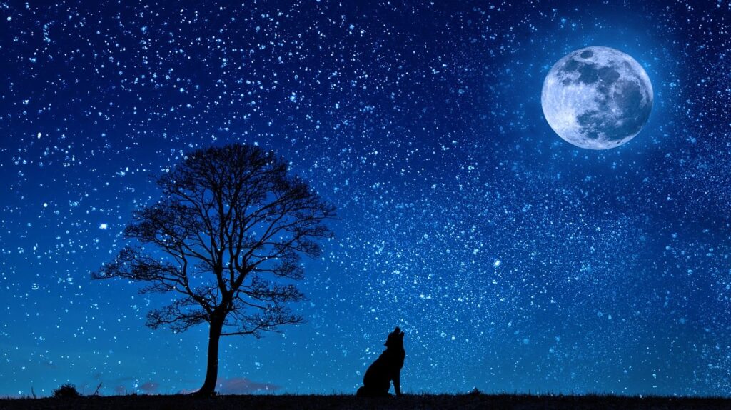 Dog sits under full moon and tree under blue starry night.