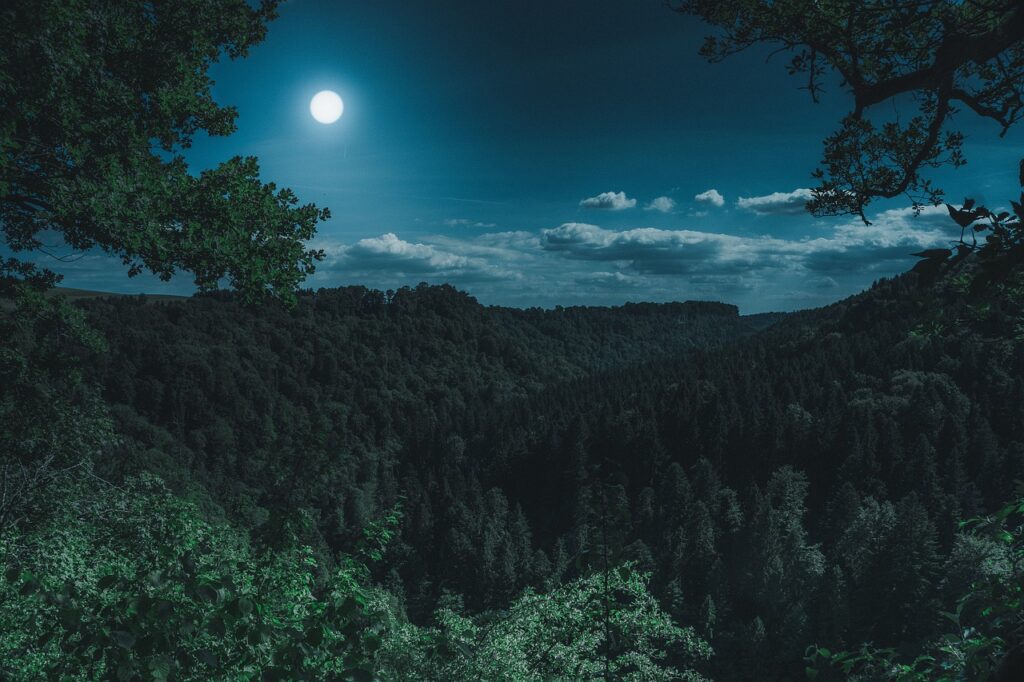 Moon shines in night sky above grass.